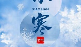 小寒最新爆料新闻,揭秘娱乐圈最新热点事件