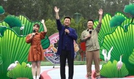 蓬安新闻爆料最新消息视频,视频揭露惊人内幕！